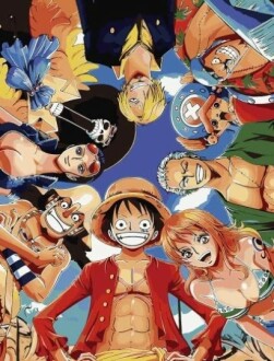 ZPPLD One Piece Schilderen op Nummer