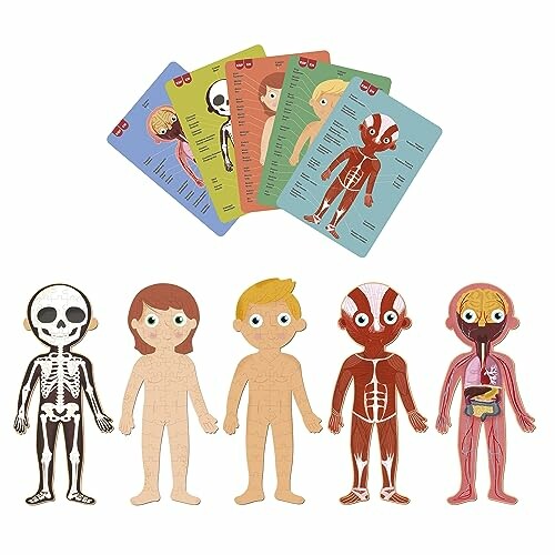 Educatief anatomie puzzelspel voor kinderen