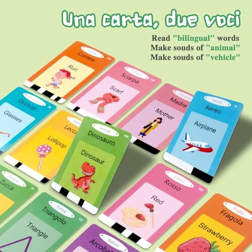 Meertalige flashcards met woorden zoals 'dinosaurus' en 'vliegtuig'.