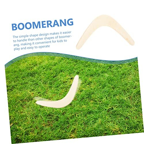 Boomerang op grasveld