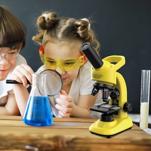 Kinderen onderzoeken met microscoop en loep.