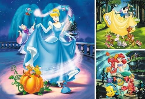 Disney prinsessen met sprookjesfiguren