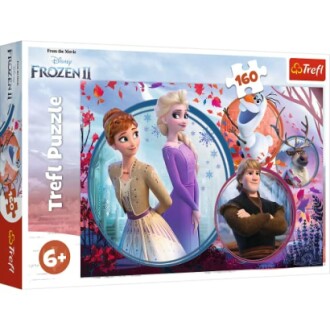 Frozen 2 puzzel met Anna, Elsa, Olaf en Sven