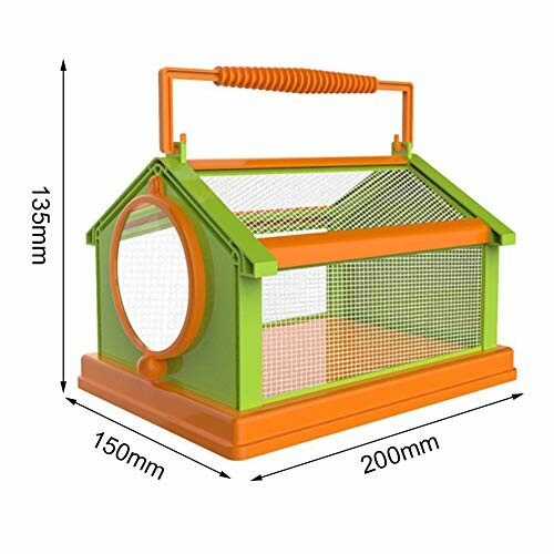 FIYSON Insecten Observatiebox