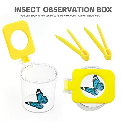 Insectenobservatiebox met blauwe vlinder en gele pincetten.