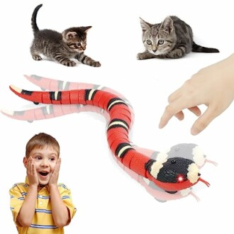 Kinderen en kittens spelen met een speelgoedslang.