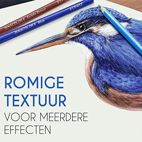 Illustratie van een vogel getekend met kleurpotloden.