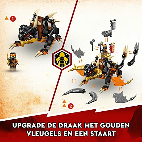 Lego set met draak en accessoires.