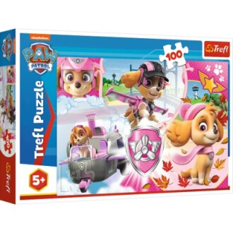 Paw Patrol puzzel met Skye afbeelding