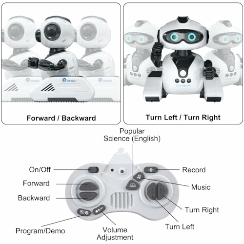 Afstandsbediening en functies van robot speelgoed