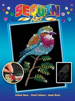 Sequin kunstpakket met vogelontwerp