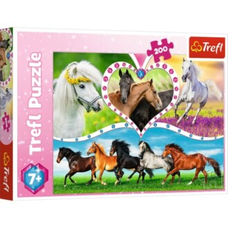 Doos van een Trefl puzzel met afbeeldingen van paarden